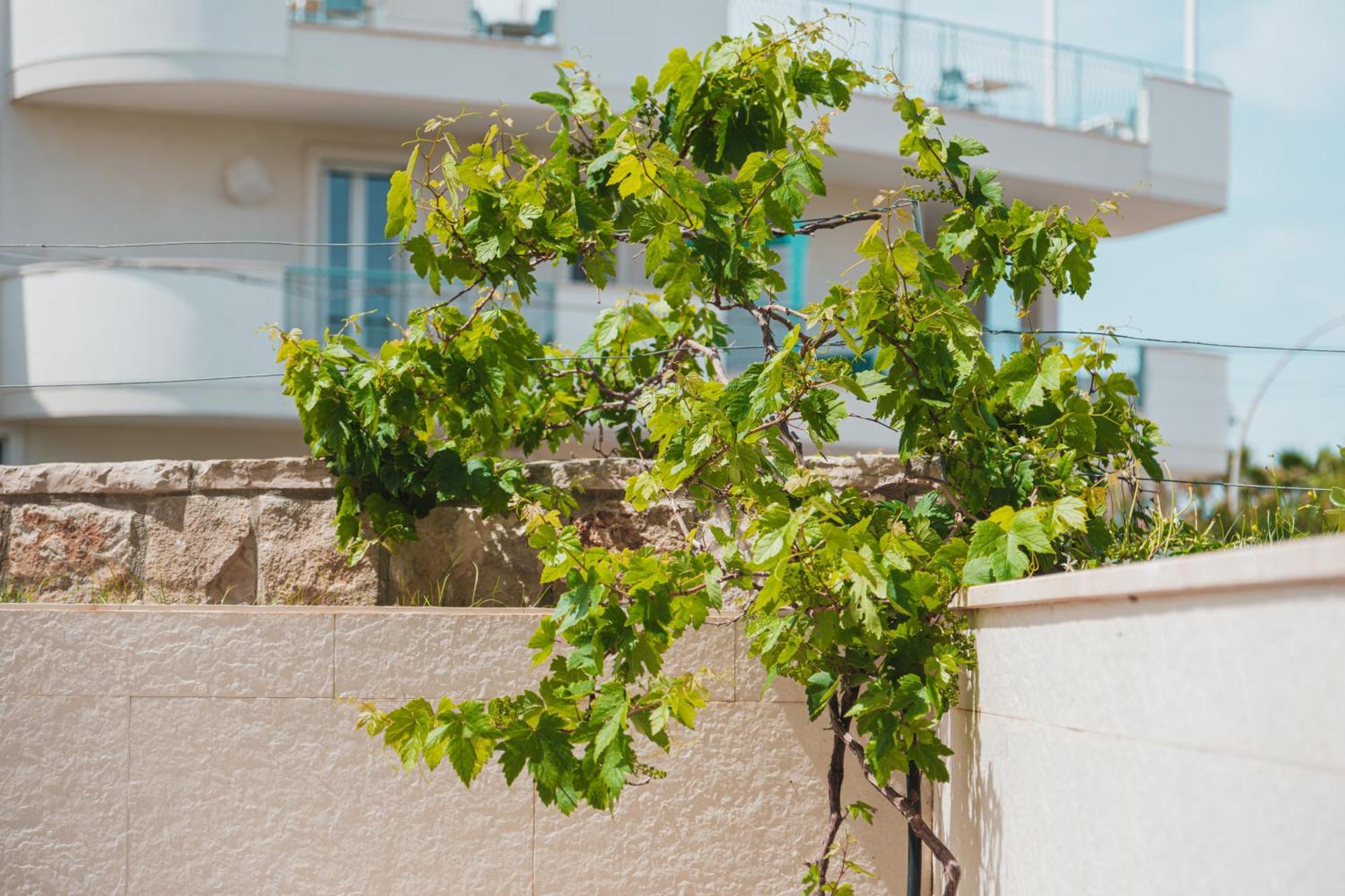 Apartamento La Casa Di Dodo Polignano a Mare Exterior foto